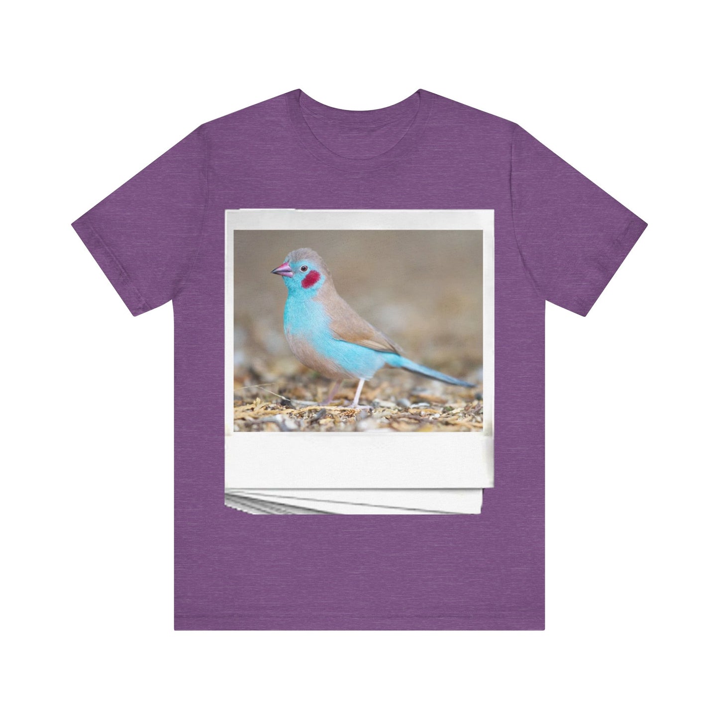 BRDZ & B$: "CORDON-BLEU"/ Unisex Jersey Short Sleeve Tee