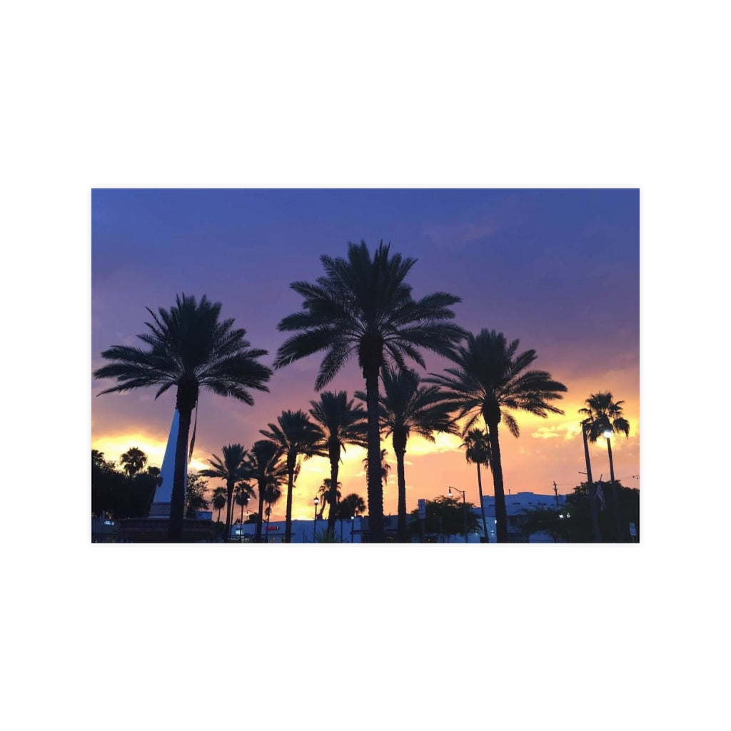 PACE: VACATION "FLORIDA PALMS" (PHOTOGRAPHY) / Horizontal Matte Poster (PRINT)