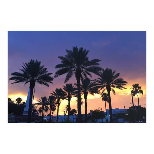 PACE: VACATION "FLORIDA PALMS" (PHOTOGRAPHY) / Horizontal Matte Poster (PRINT)