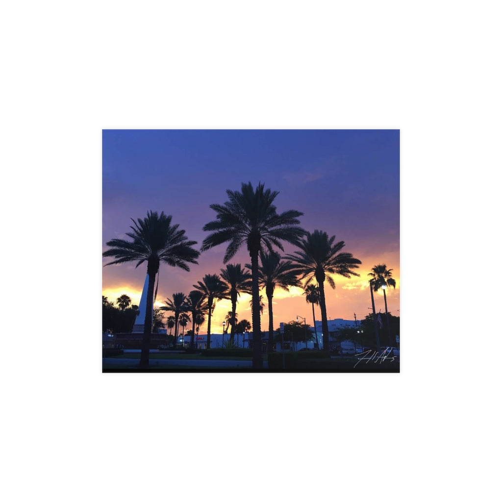 PACE: VACATION "FLORIDA PALMS" (PHOTOGRAPHY) / Horizontal Matte Poster (PRINT)