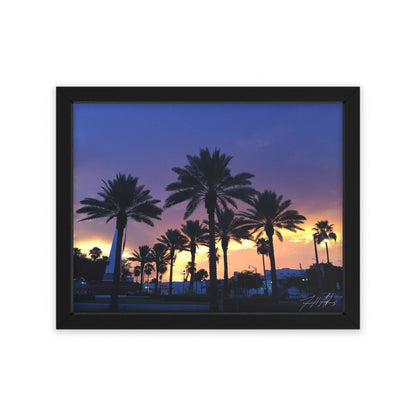 PACE: MIAMI: "FLORIDA PALMS" (PHOTOGRAPHY) / Framed Horizontal Poster (PRINT)