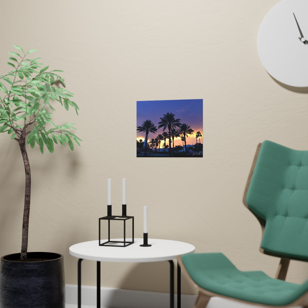 PACE: VACATION "FLORIDA PALMS" (PHOTOGRAPHY) / Horizontal Matte Poster (PRINT)