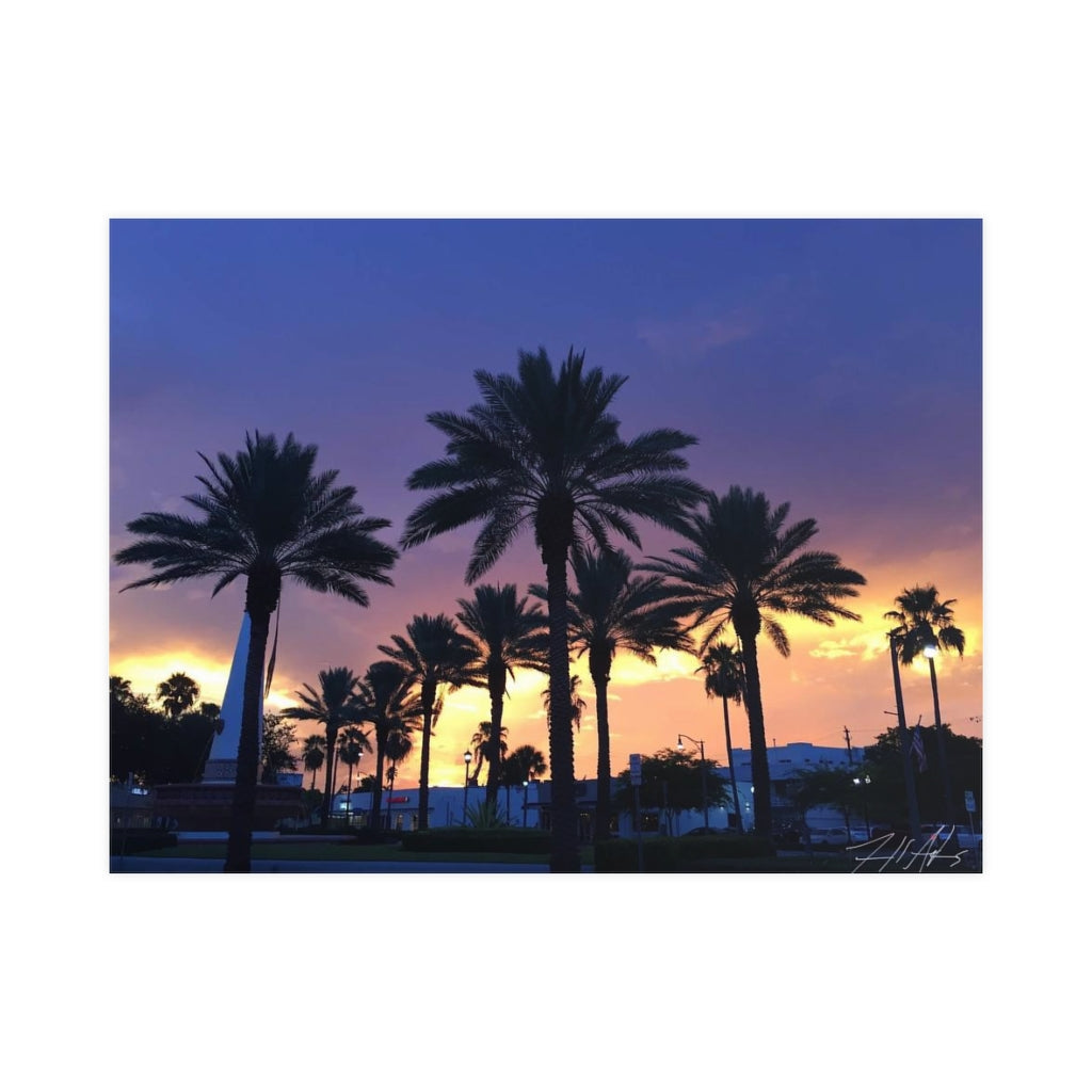 PACE: VACATION "FLORIDA PALMS" (PHOTOGRAPHY) / Horizontal Matte Poster (PRINT)