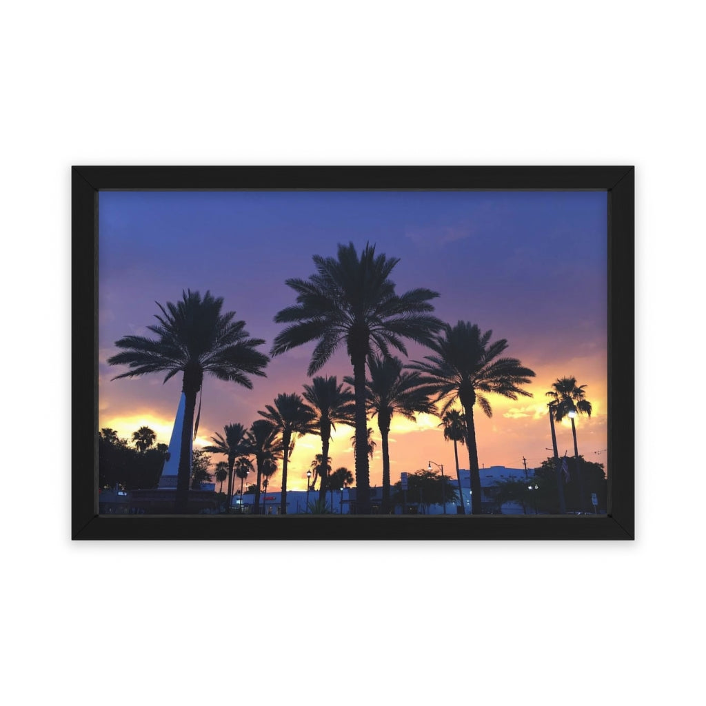 PACE: MIAMI: "FLORIDA PALMS" (PHOTOGRAPHY) / Framed Horizontal Poster (PRINT)