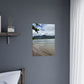 PACE: "BEACH FOR-REST" (PHOTOGRAPHY) /Premium Matte Poster (PRINT)