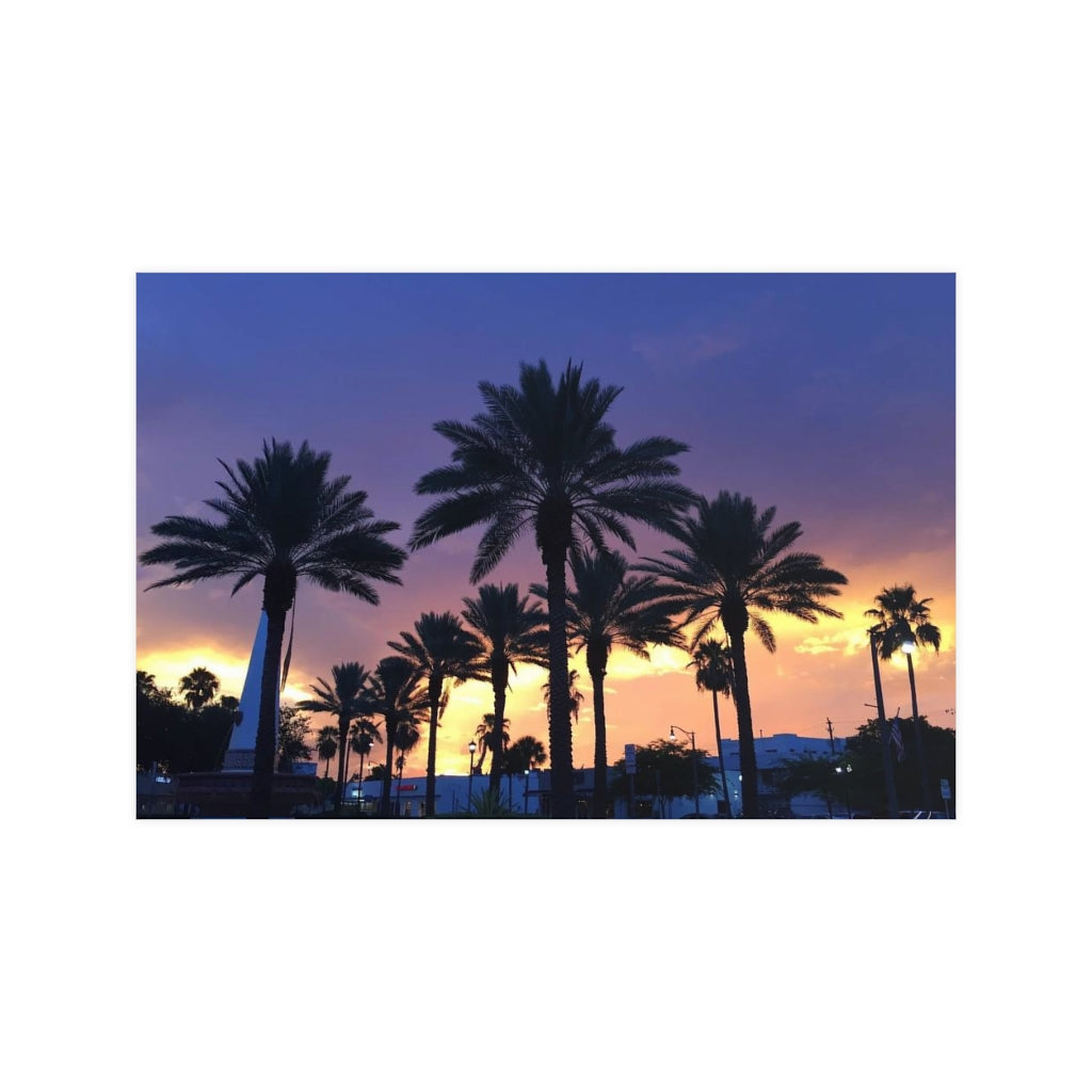 PACE: VACATION "FLORIDA PALMS" (PHOTOGRAPHY) / Horizontal Matte Poster (PRINT)