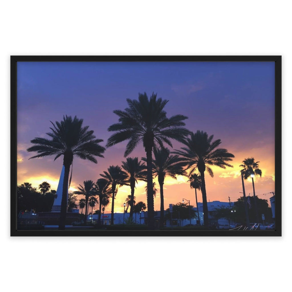 PACE: MIAMI: "FLORIDA PALMS" (PHOTOGRAPHY) / Framed Horizontal Poster (PRINT)