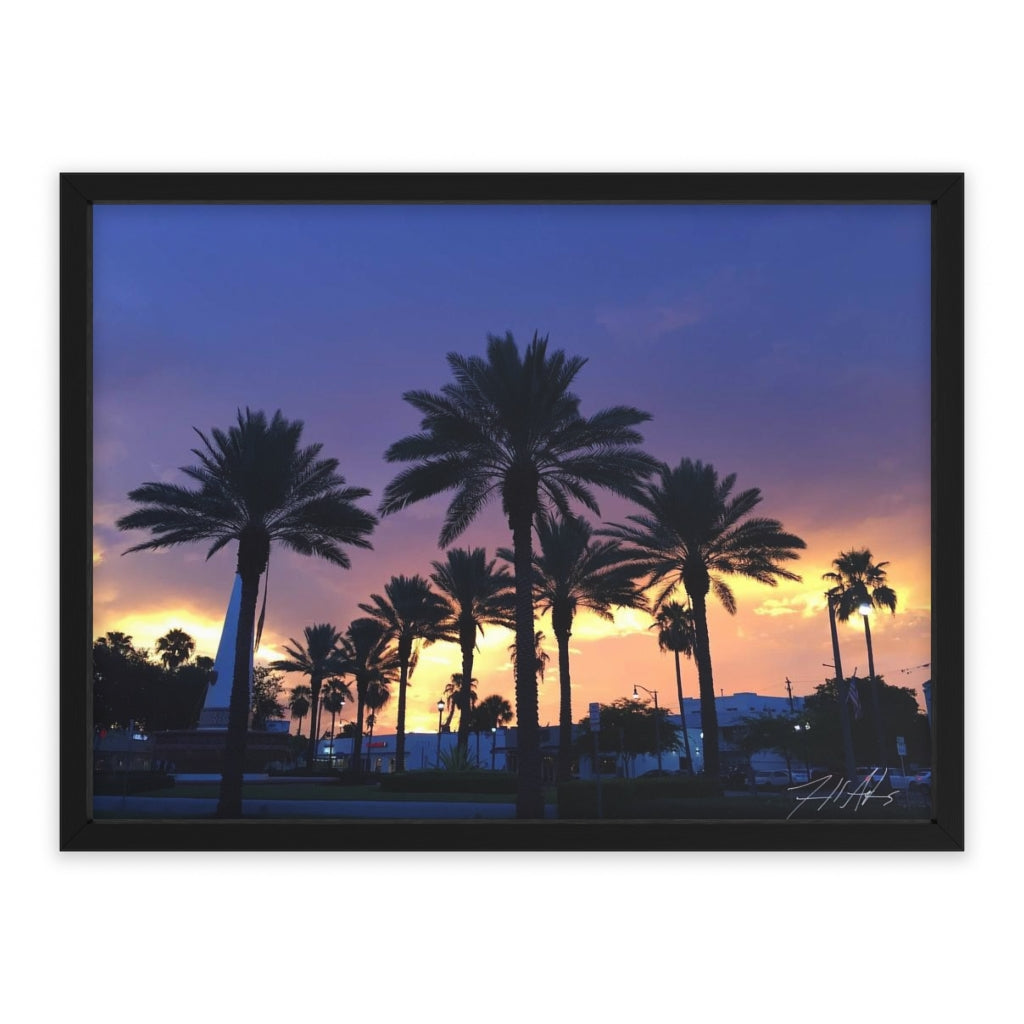 PACE: MIAMI: "FLORIDA PALMS" (PHOTOGRAPHY) / Framed Horizontal Poster (PRINT)