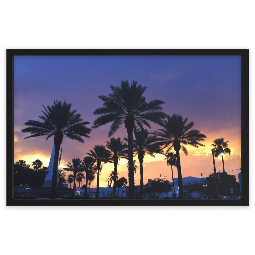 PACE: MIAMI: "FLORIDA PALMS" (PHOTOGRAPHY) / Framed Horizontal Poster (PRINT)