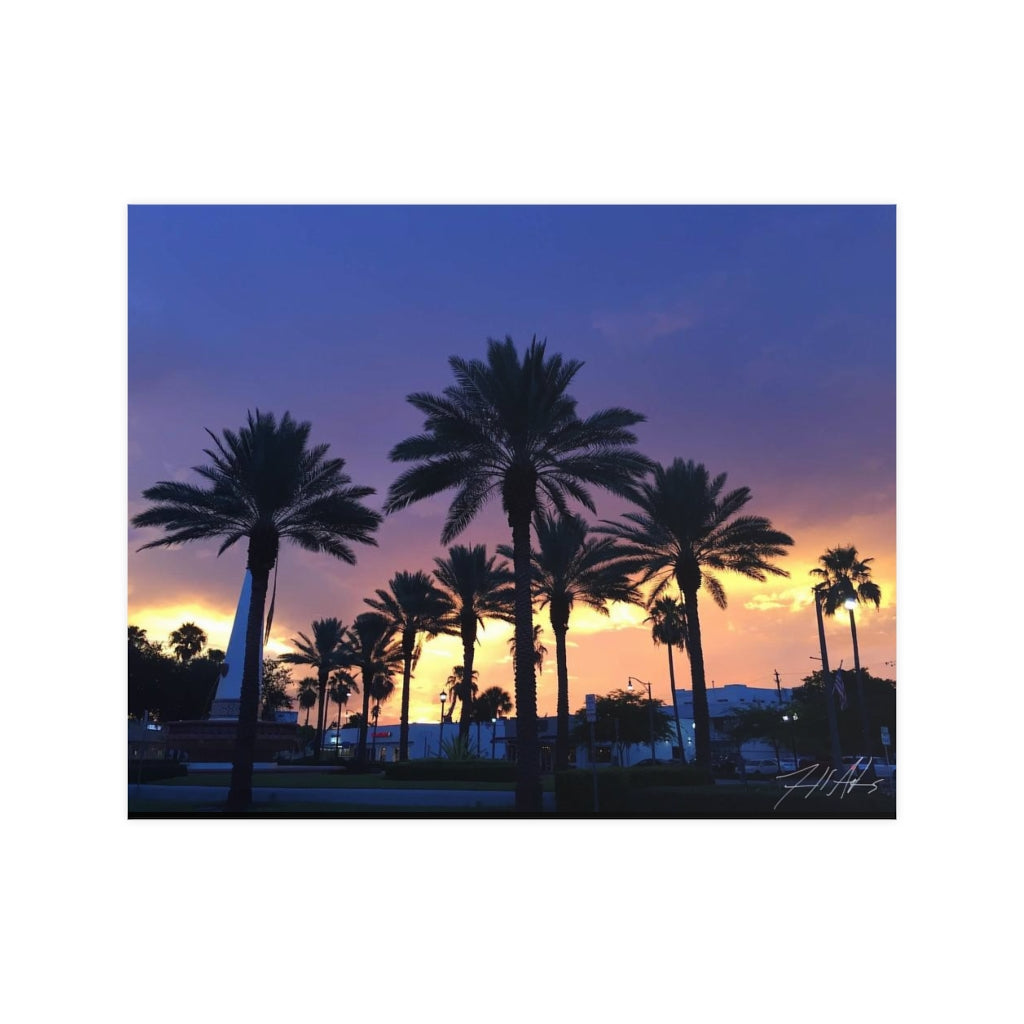 PACE: VACATION "FLORIDA PALMS" (PHOTOGRAPHY) / Horizontal Matte Poster (PRINT)