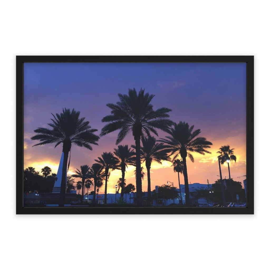 PACE: MIAMI: "FLORIDA PALMS" (PHOTOGRAPHY) / Framed Horizontal Poster (PRINT)